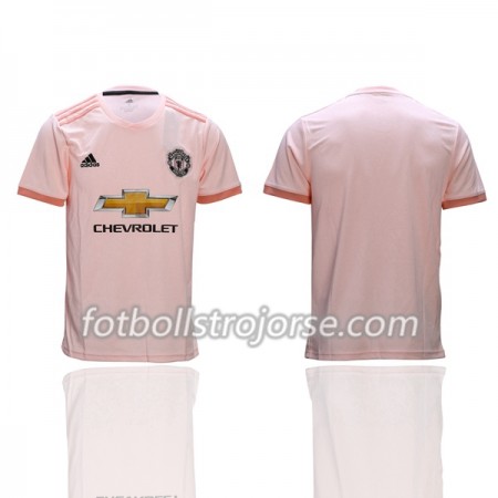 Manchester United Matchtröjor Borta Fotbollströja 2018-2019